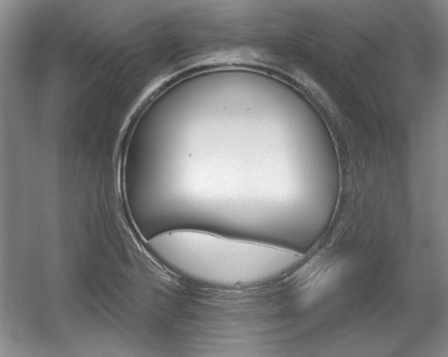 X0000061751224200512021103