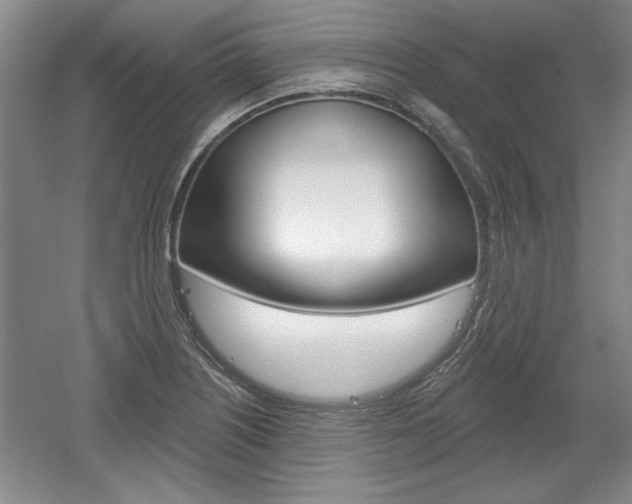 X0000061751226200512021103