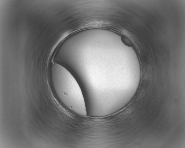 X0000061751227200512021103
