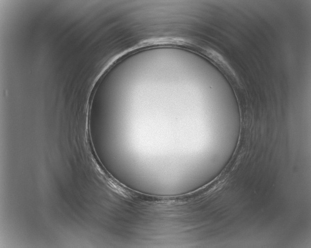 X0000061751228200512021103