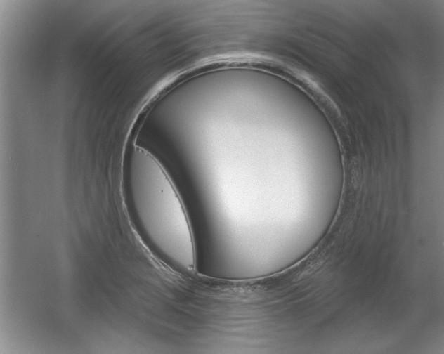 X0000061751229200512021103