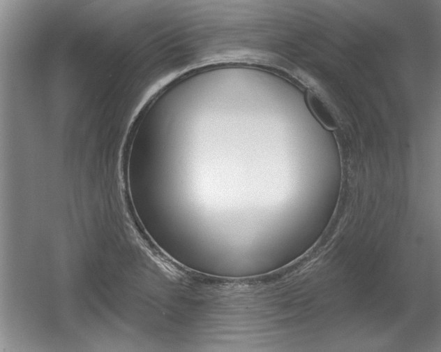 X0000061751230200512021103