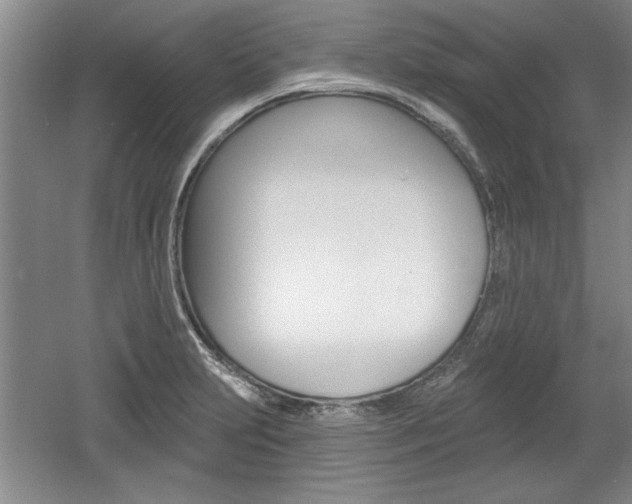 X0000061751231200512021103