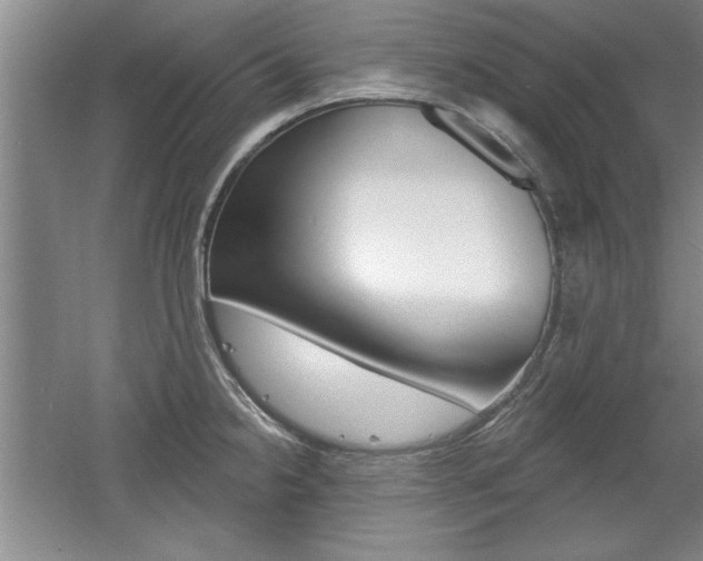 X0000061751238200512021103