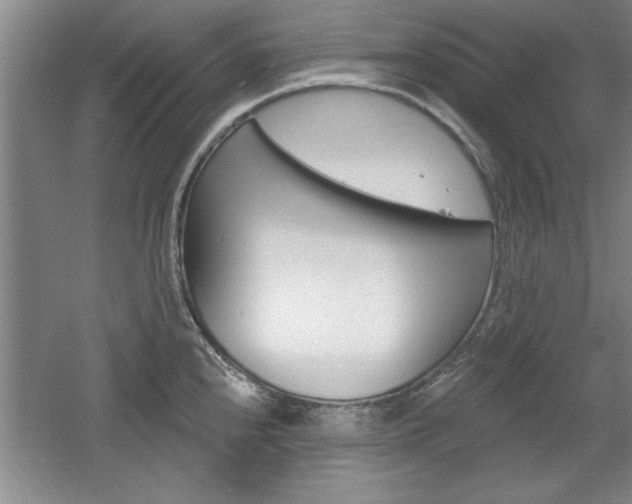 X0000061751240200512021103
