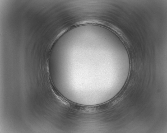 X0000061751241200512021103