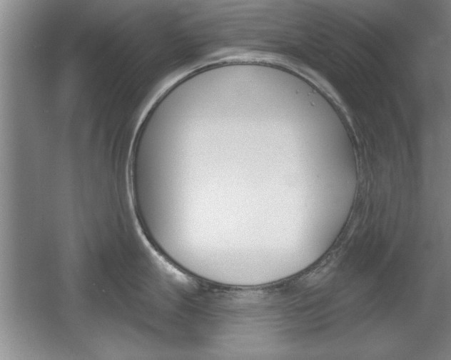 X0000061751247200512021103