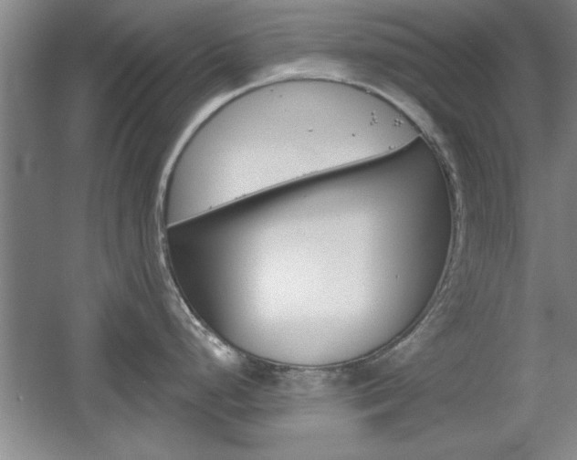 X0000061751248200512021103
