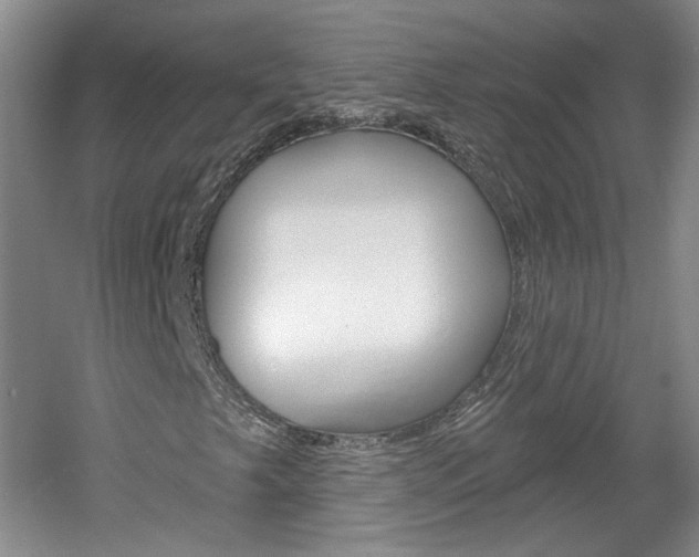 X0000061751249200512021103