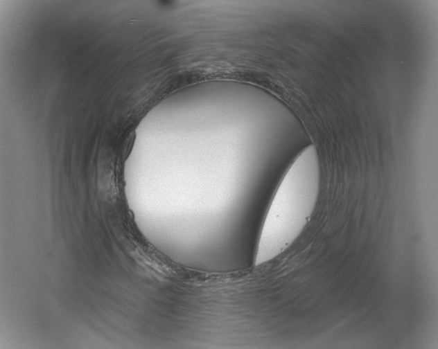 X0000061751250200512021103