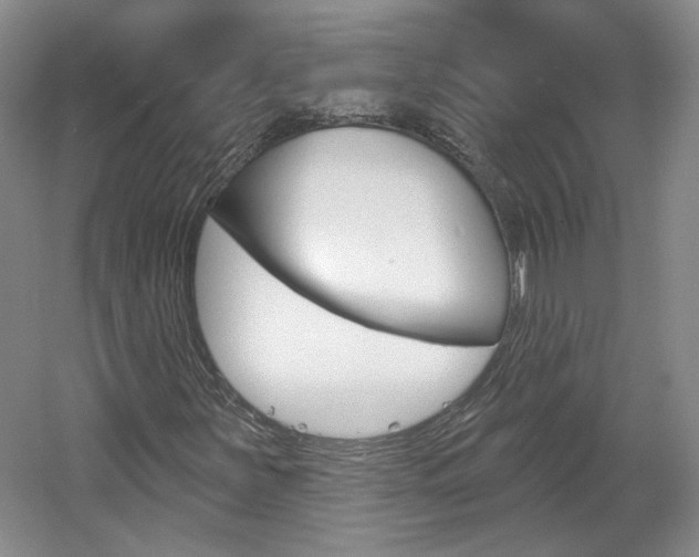 X0000061751251200512021103