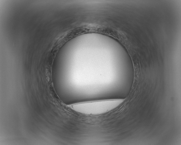 X0000061751253200512021103