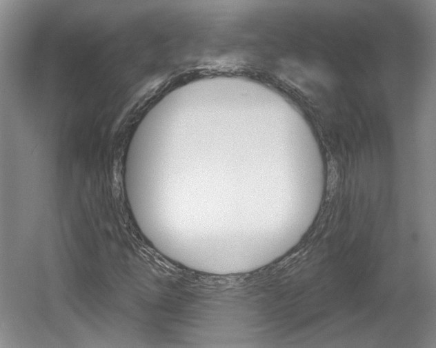 X0000061751254200512021103