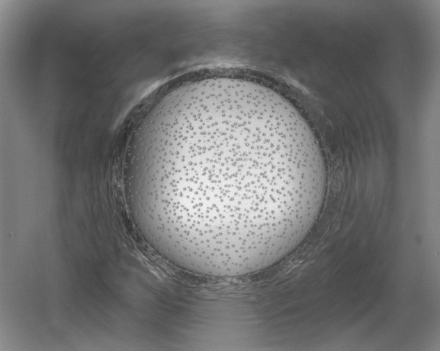 X0000061751255200512021102