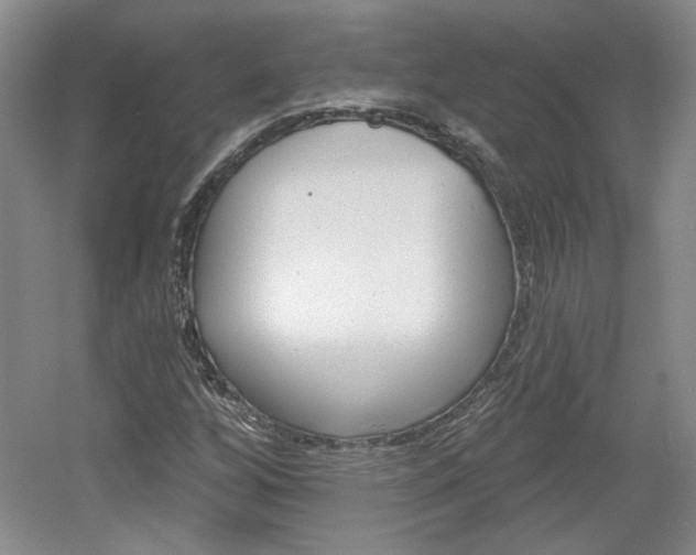 X0000061751256200512021102