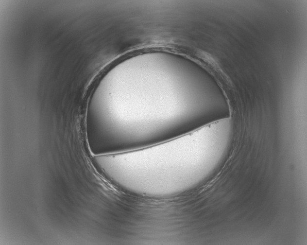 X0000061751260200512021102