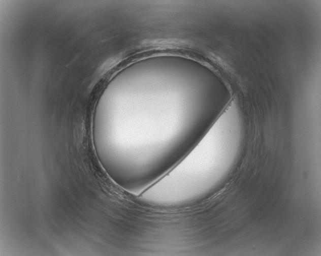 X0000061751261200512021102