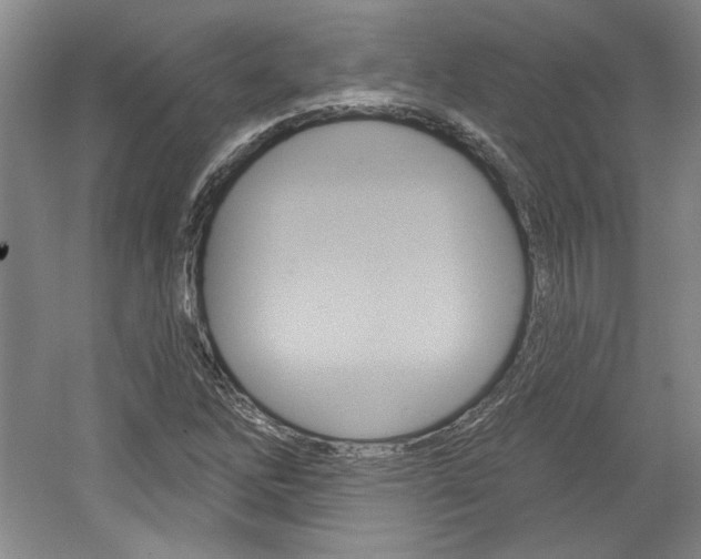 X0000061751262200512021102