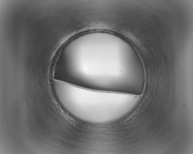 X0000061751264200512021102