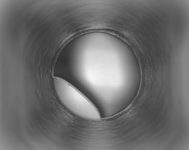 X0000061751265200512021102
