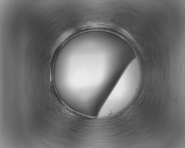 X0000061751269200512021102