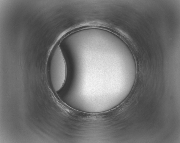 X0000061751272200512021102