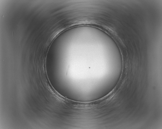 X0000061751273200512021102