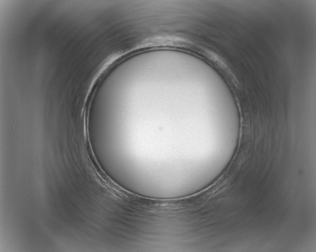 X0000061751275200512021102