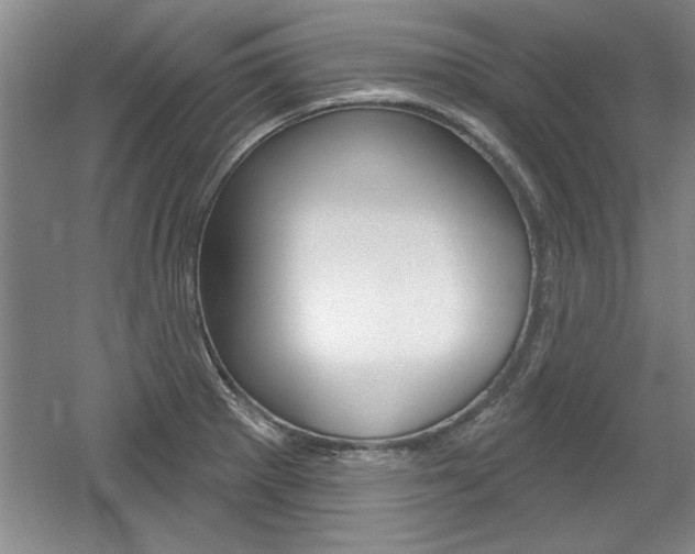 X0000061751281200512021102