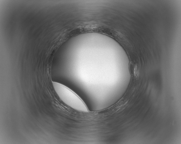 X0000061751299200512021101