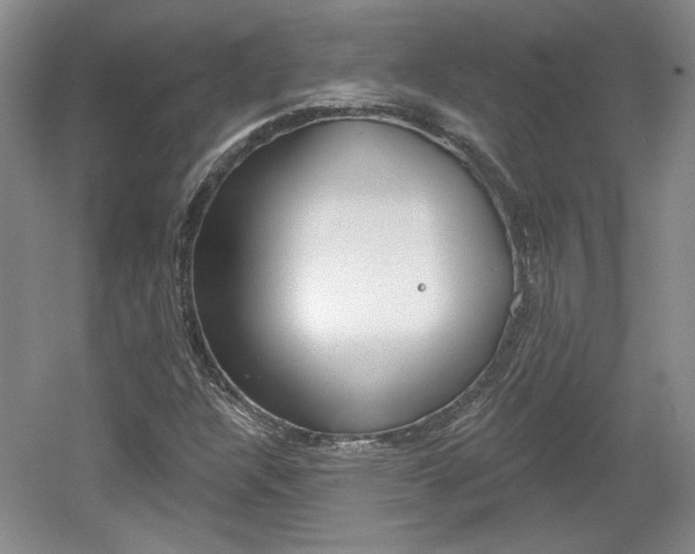 X0000061751304200512021101