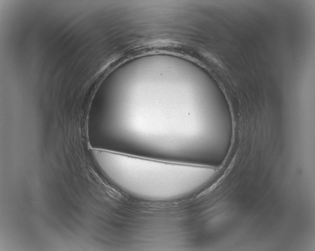 X0000061751305200512021101