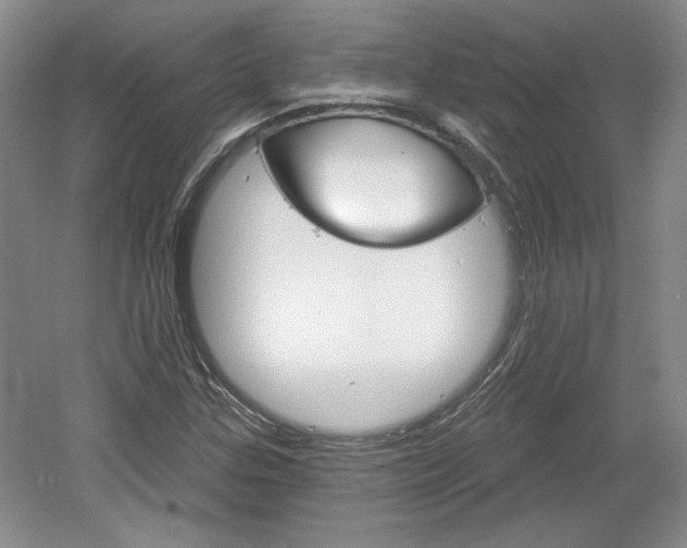 X0000061751307200512021101
