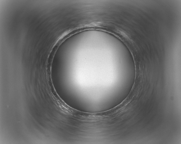 X0000061751308200512021101