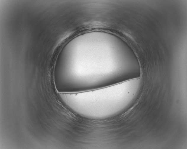 X0000061751309200512021101