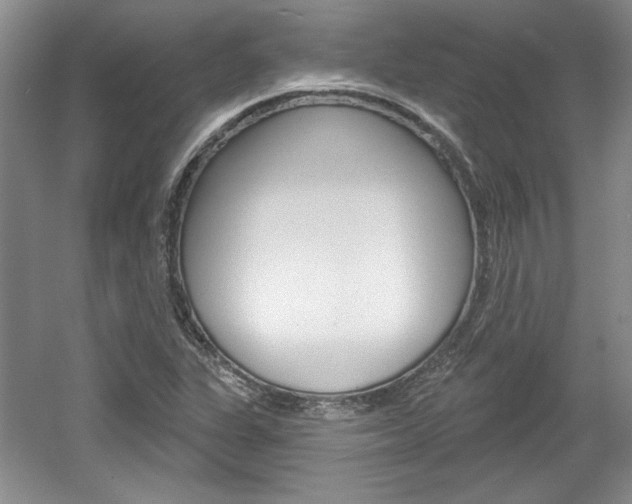 X0000061751311200512021101