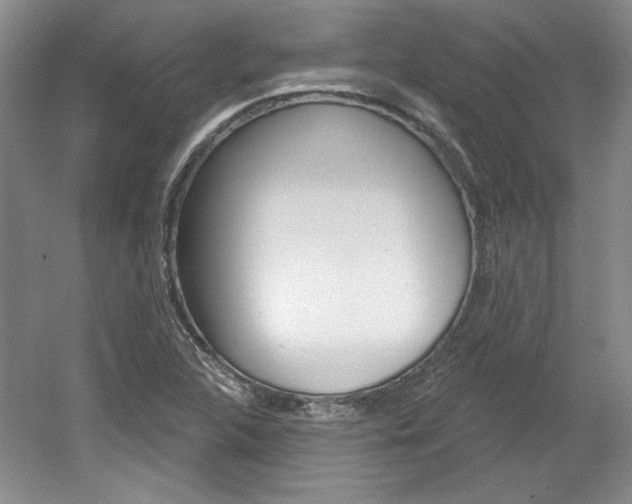 X0000061751312200512021101