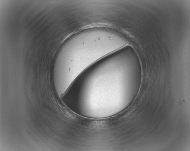 X0000061751313200512021101