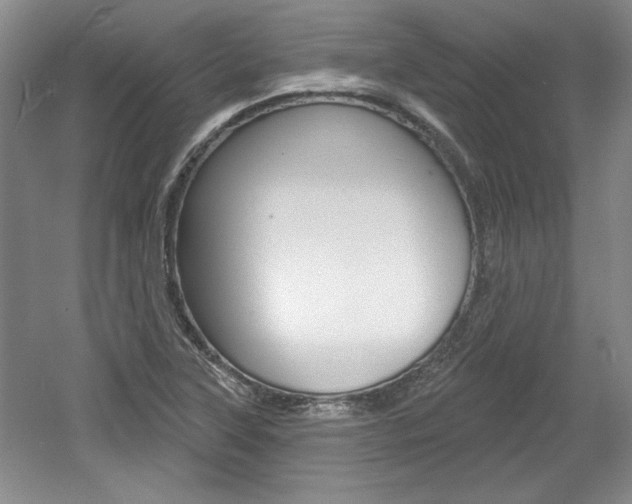X0000061751315200512021101