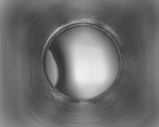 X0000061751316200512021101