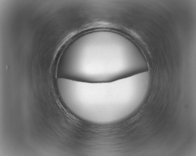 X0000061751318200512021101