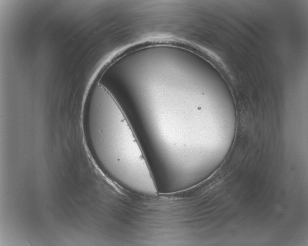 X0000061751327200512021101