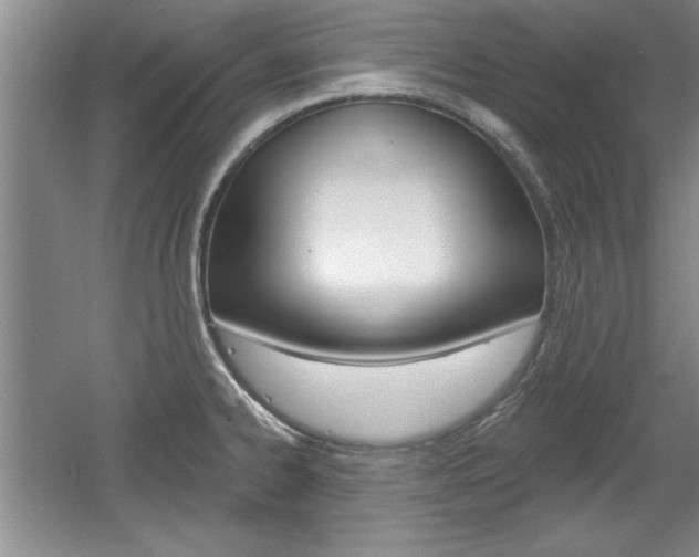 X0000061751334200512021102