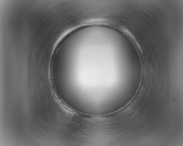 X0000061751336200512021102