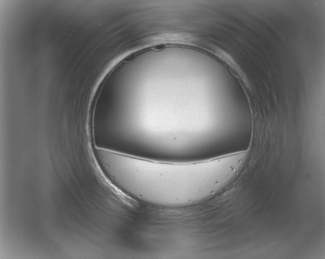 X0000061751339200512021102