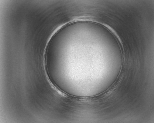 X0000061751341200512021102