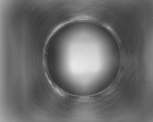 X0000061751342200512021102