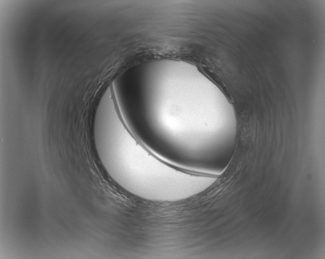 X0000061751345200512021101
