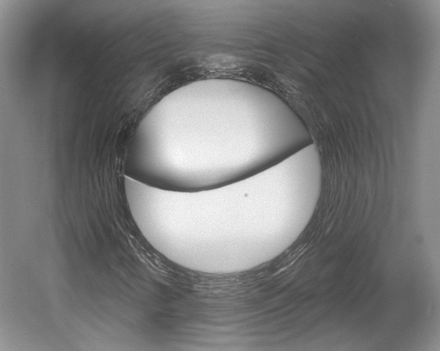 X0000061751346200512021101