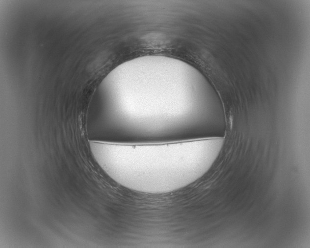 X0000061751347200512021101